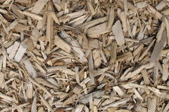 biomass boilers Longhope